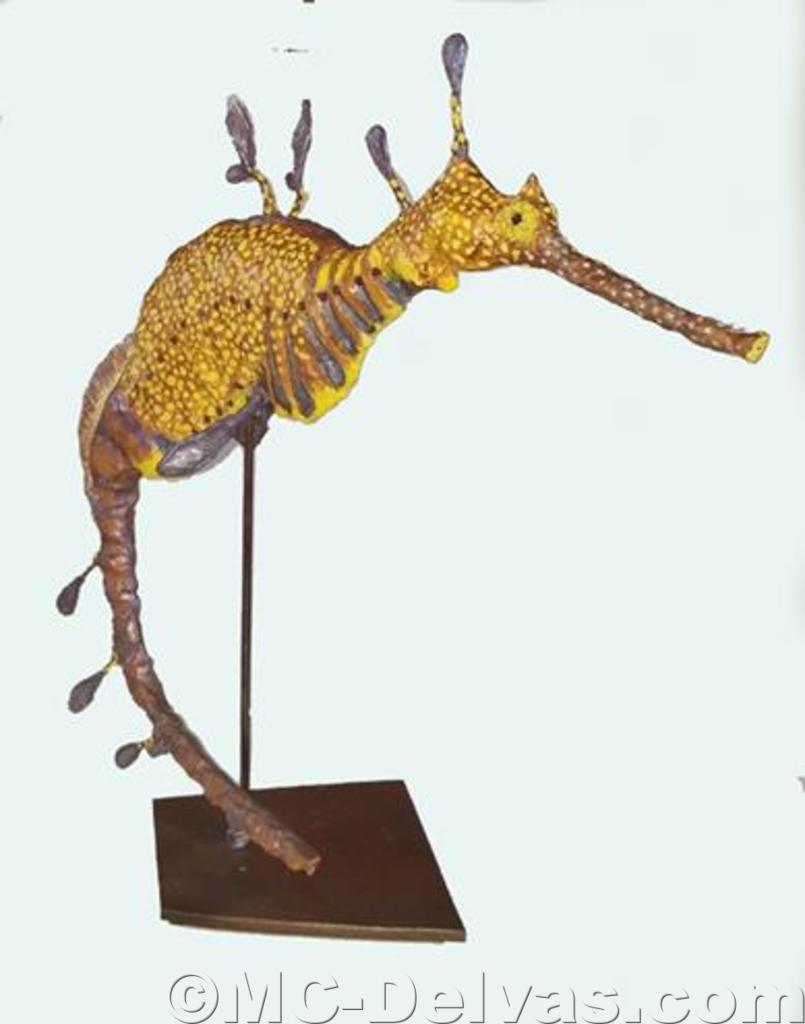 Hippocampe feuillu (H 40cm x L 18cm)